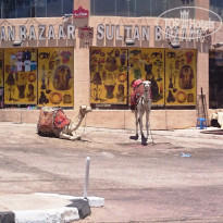 фото из отзыва ID 1245758