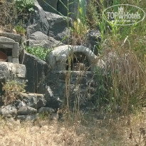 фото из отзыва ID 1245773