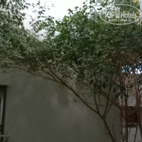 фото из отзыва ID 1245773