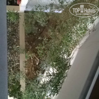 фото из отзыва ID 1245773