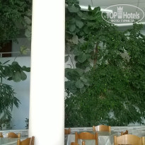 фото из отзыва ID 1245773