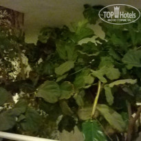 фото из отзыва ID 1245773