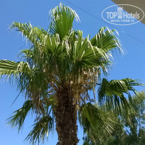 фото из отзыва ID 1245773