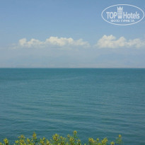 фото из отзыва ID 1245892