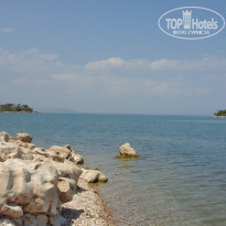 фото из отзыва ID 1245892