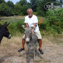 фото из отзыва ID 1245892