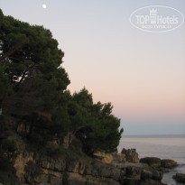 фото из отзыва ID 1245892