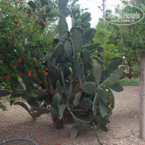 фото из отзыва ID 1245939