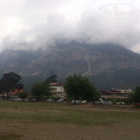 фото из отзыва ID 1245939