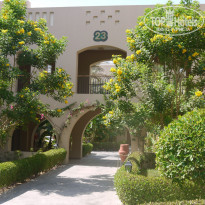 фото из отзыва ID 1246007