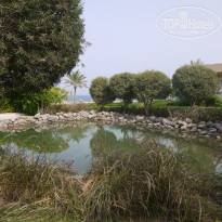 фото из отзыва ID 1246007