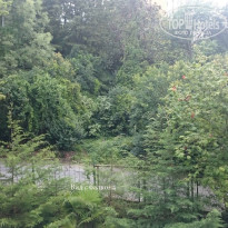 фото из отзыва ID 1246126