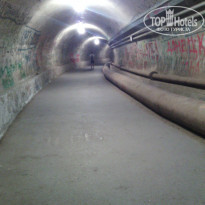 фото из отзыва ID 1246249