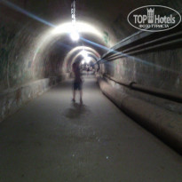 фото из отзыва ID 1246249