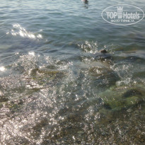 фото из отзыва ID 1246249