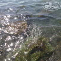 фото из отзыва ID 1246249