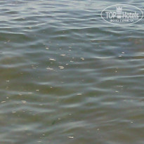 фото из отзыва ID 1246249