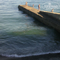 фото из отзыва ID 1246249