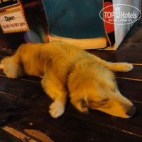 фото из отзыва ID 1246253