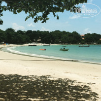 фото из отзыва ID 1246279