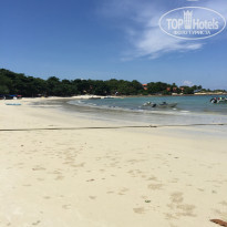 фото из отзыва ID 1246279