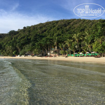 фото из отзыва ID 1246279