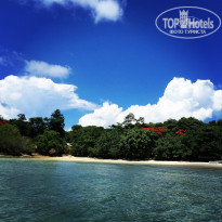 фото из отзыва ID 1246279