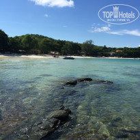 фото из отзыва ID 1246279