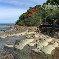 фото из отзыва ID 1246279