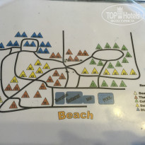 фото из отзыва ID 1246279