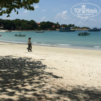 фото из отзыва ID 1246279