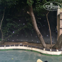 фото из отзыва ID 1246357