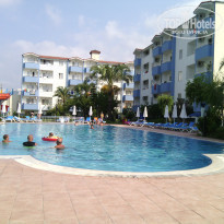 фото из отзыва ID 1246388