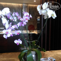 фото из отзыва ID 1246402