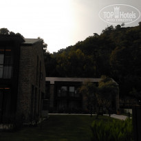 фото из отзыва ID 1246402