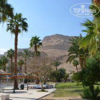 фото из отзыва ID 1246668