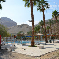 фото из отзыва ID 1246668