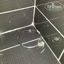 фото из отзыва ID 1246661