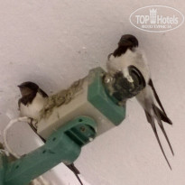 фото из отзыва ID 1246811