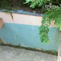 фото из отзыва ID 1246854