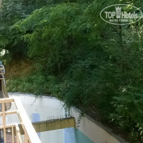 фото из отзыва ID 1246854