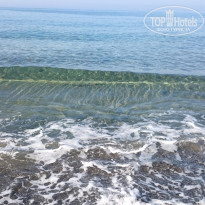 фото из отзыва ID 1247060