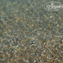 фото из отзыва ID 1247082