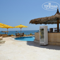 фото из отзыва ID 1247093