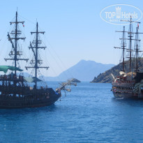 фото из отзыва ID 1247113