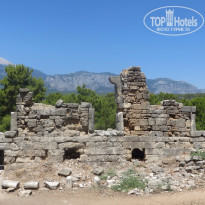 фото из отзыва ID 1247113