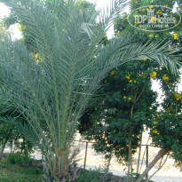 фото из отзыва ID 1247141