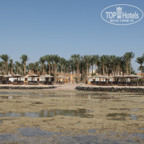 фото из отзыва ID 1247216