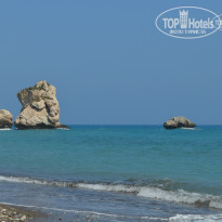 фото из отзыва ID 1247258