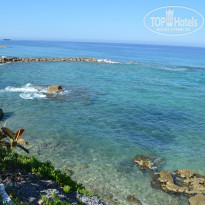 фото из отзыва ID 1247258